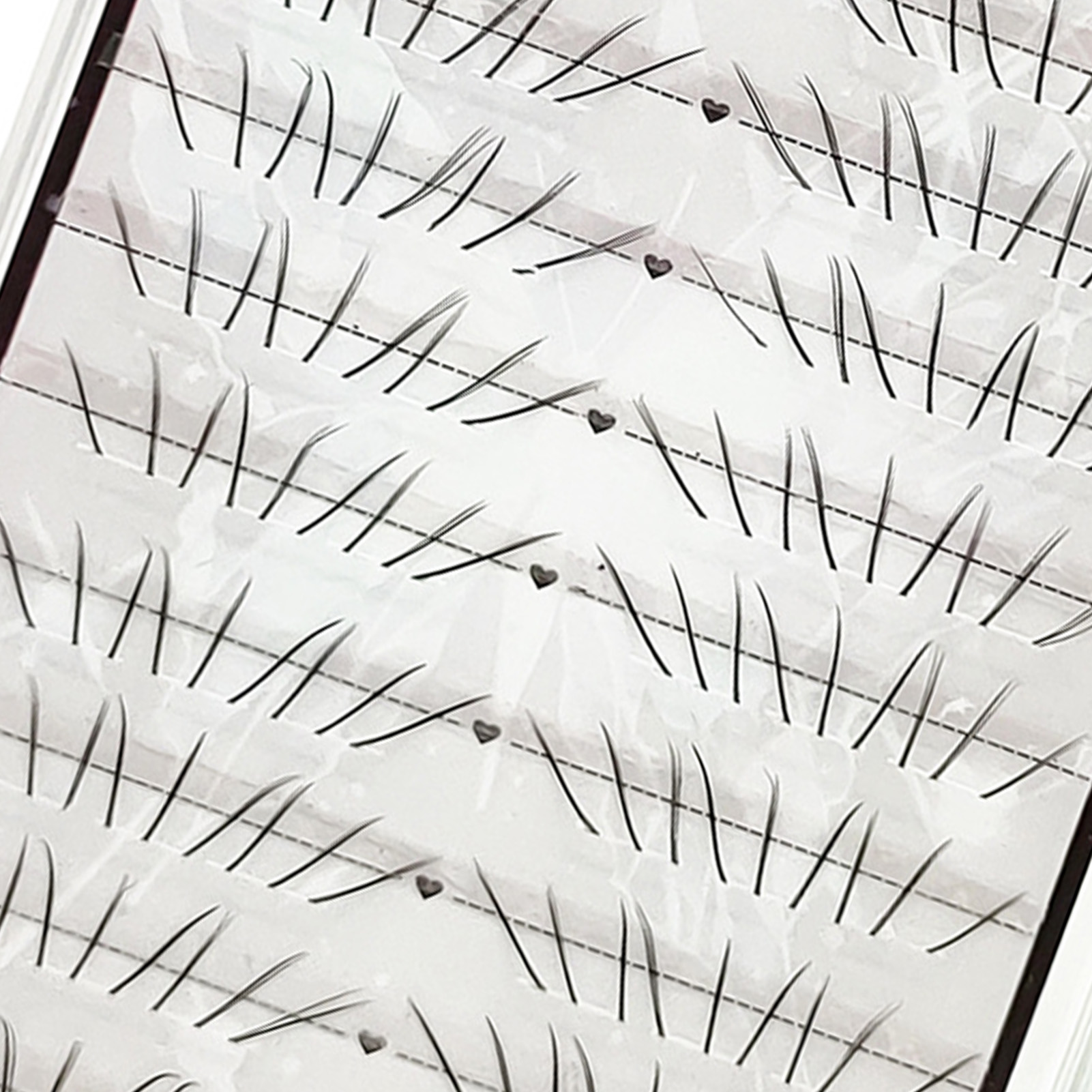 Natural Cat Paw Lower Lashes C - Eyelash Extension Cat Eye ulasan dan harga