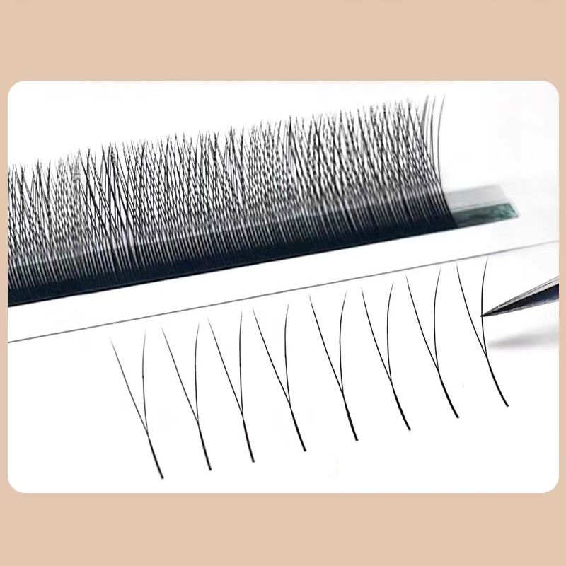 MARIA 2D Y Shape Eyelashes Han - Eyelash Extension Equipment ulasan dan harga