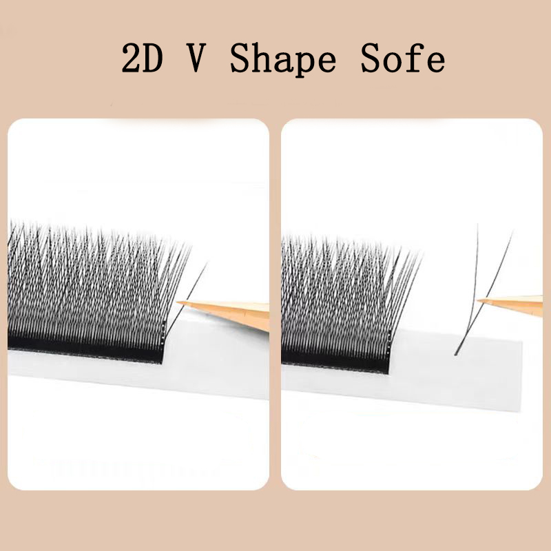 MARIA 2D Y Shape Eyelashes Han - Eyelash Extension Equipment ulasan dan harga