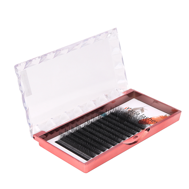 MARIA 10 Cases 4D W Shaped Bea - Eyelash Extension Equipment ulasan dan harga