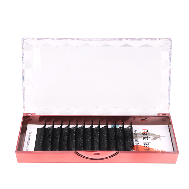 MARIA 10 Cases 4D W Shaped Bea - Eyelash Extension Equipment ulasan dan harga